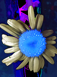 Abstract Surreal Large Daisy Flower 